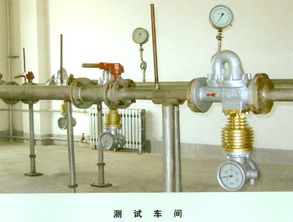 谐振剪切应变流量传感系统在校准修正中的相位建模方案标准化配置手册